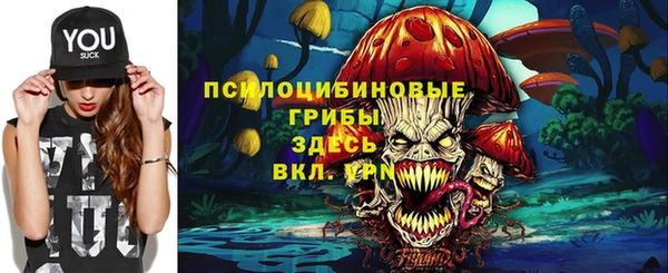 ALPHA-PVP Алексеевка