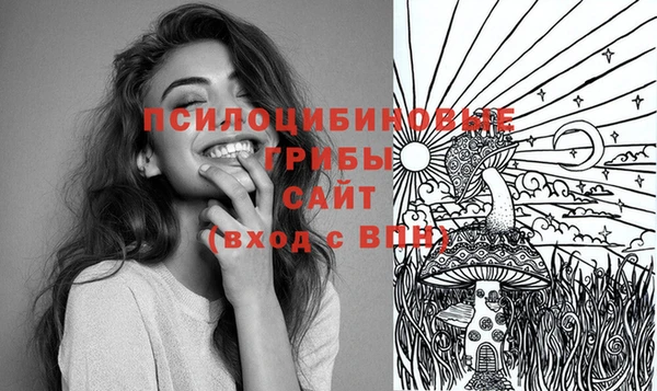 МДПВ Алексин