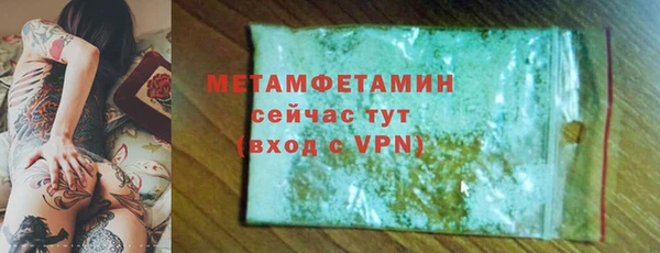 прущие грибы Заволжск