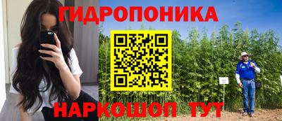 сатива Краснодар