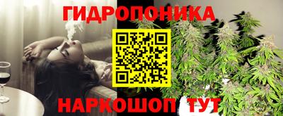 сатива Краснодар