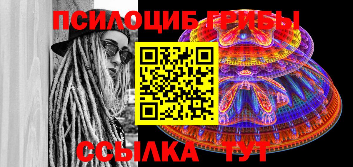Галлюциногенные грибы Psilocybe Дубна