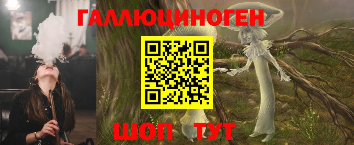 Галлюциногенные грибы Psilocybe  Вход с VPN  Дубна 